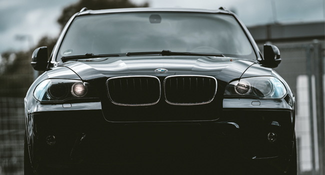 kidney grille front